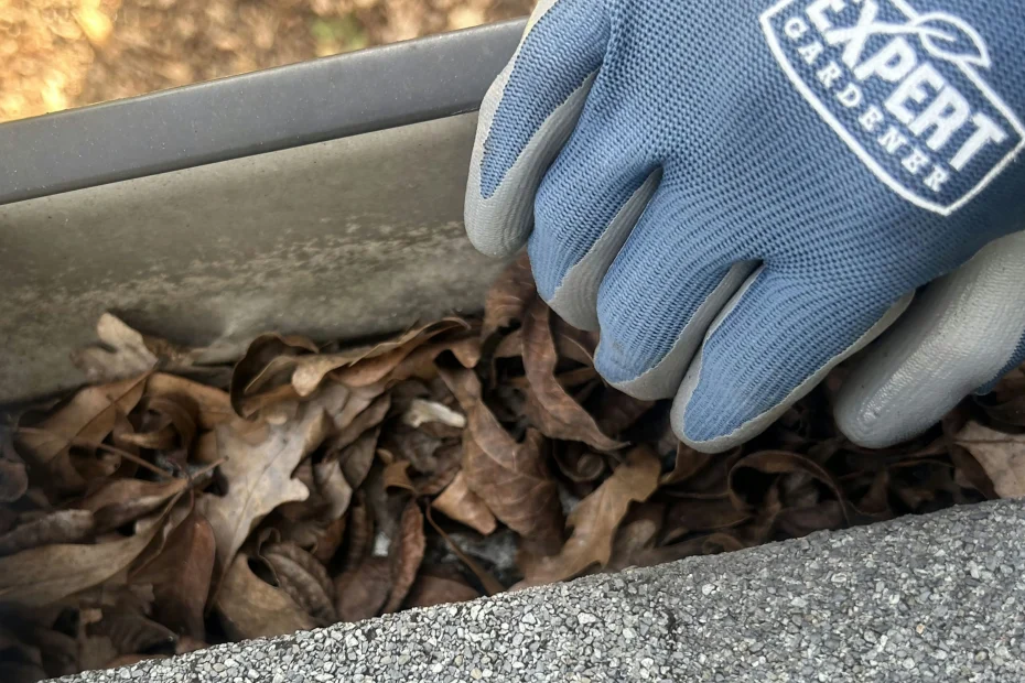 Gutter Cleaning Cococut Grove FL