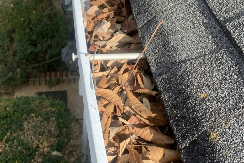 Gutter Cleaning Cococut Grove FL