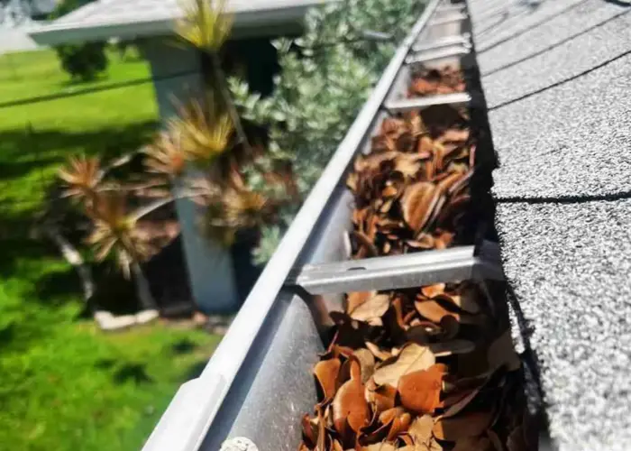 Gutter Cleaning Cococut Grove FL home page